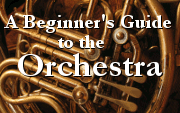 A Beginner's Guide to the Orchestra