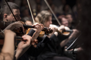 violins playing in an orchestra